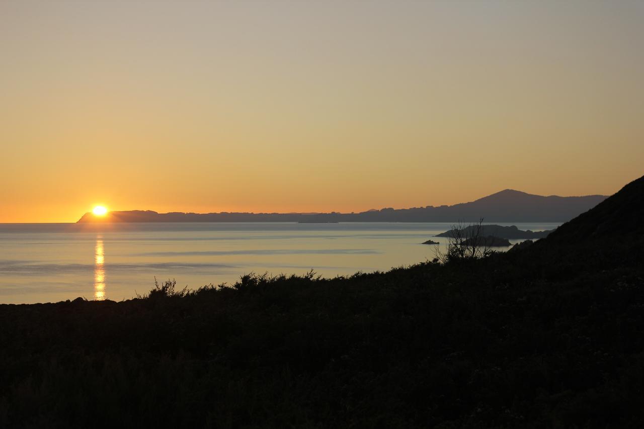 Eagle'S Roost Farmstay B&B Rocky Cape Екстериор снимка