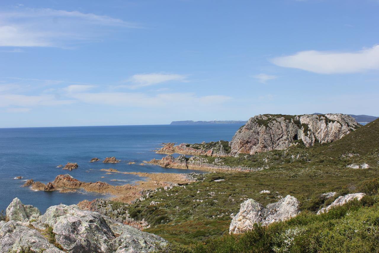 Eagle'S Roost Farmstay B&B Rocky Cape Екстериор снимка